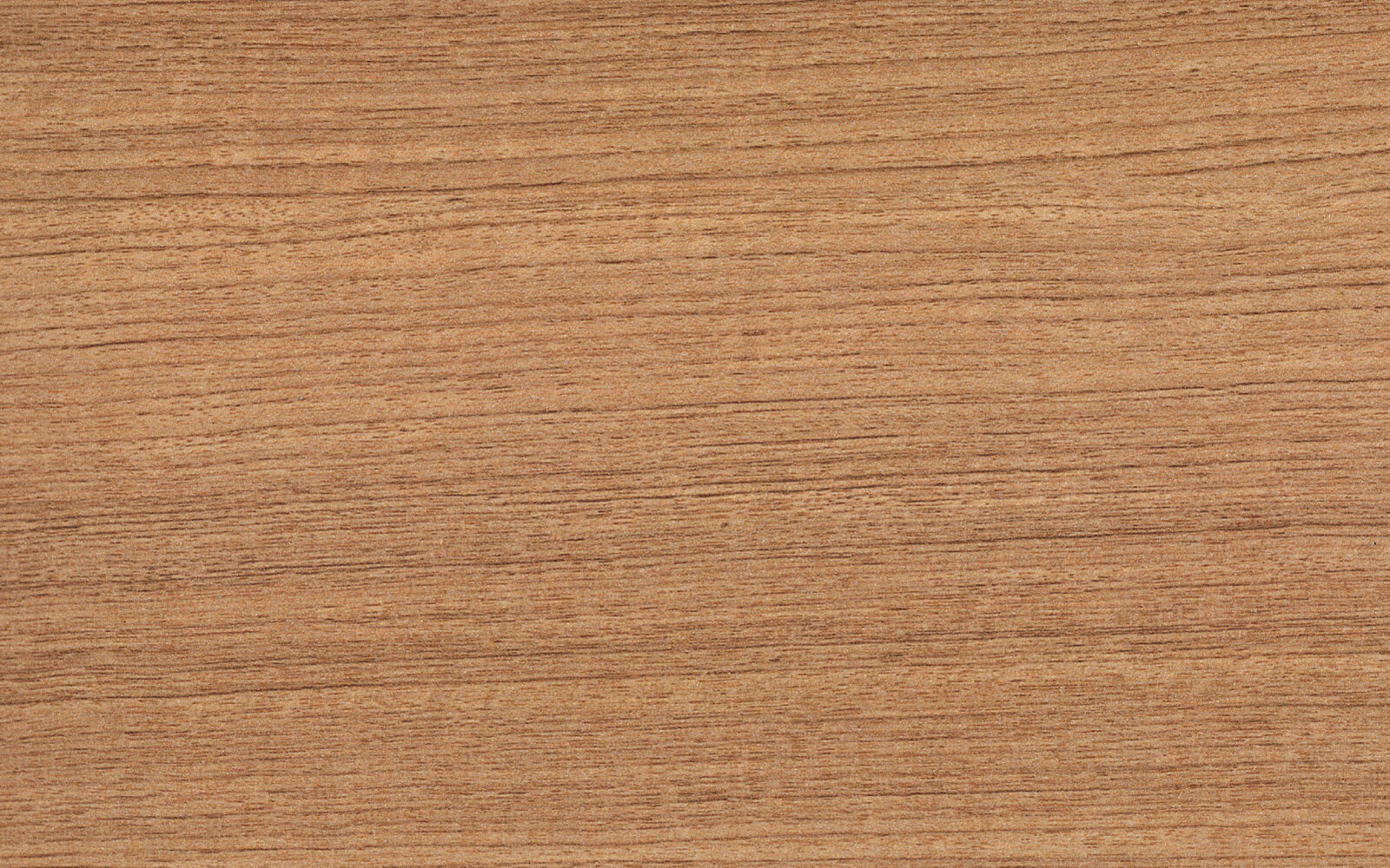 Urban Teak