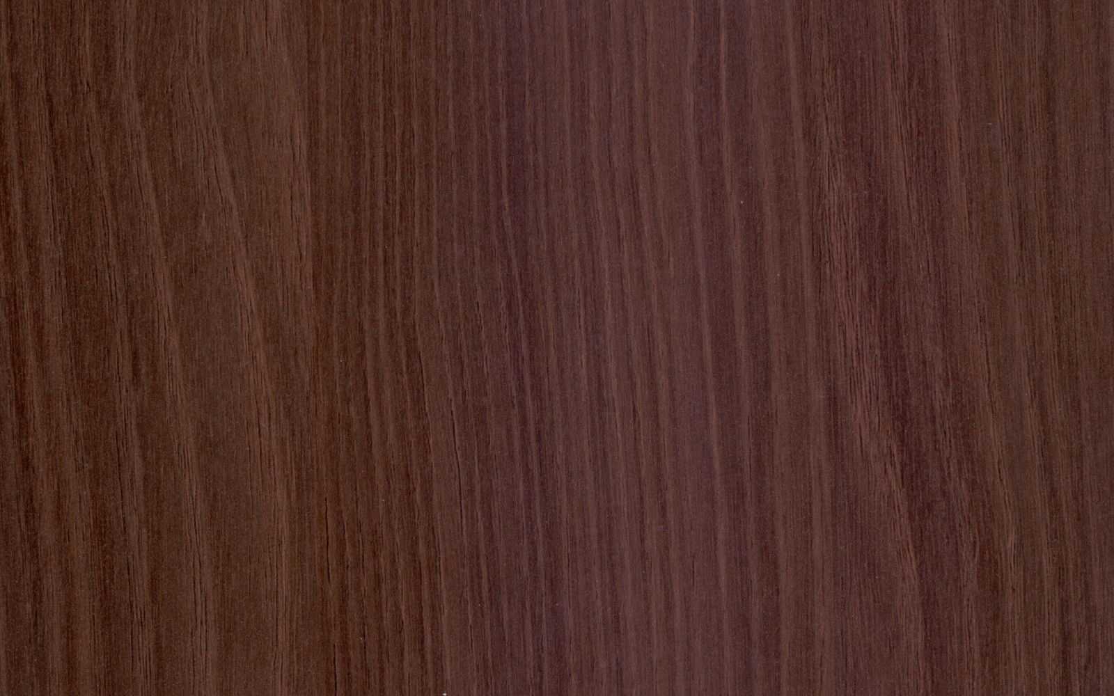 Maldau Acacia