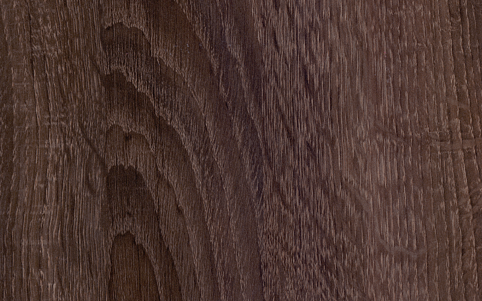 Napa Oak